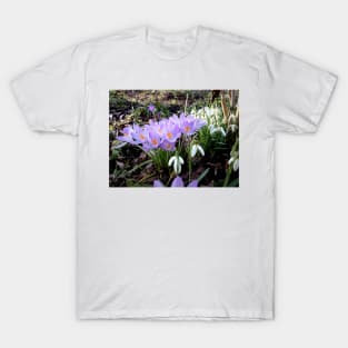 Crocuses with snowdrops T-Shirt